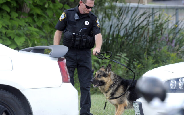 Illinois Lawmakers Want To Add Penalties For Killing Police Dogs